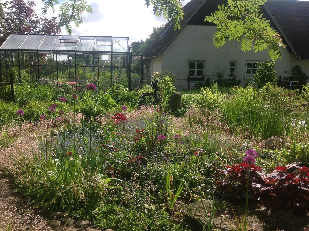 Bed And Breakfast - Stakdelen 47 Allerup Екстериор снимка